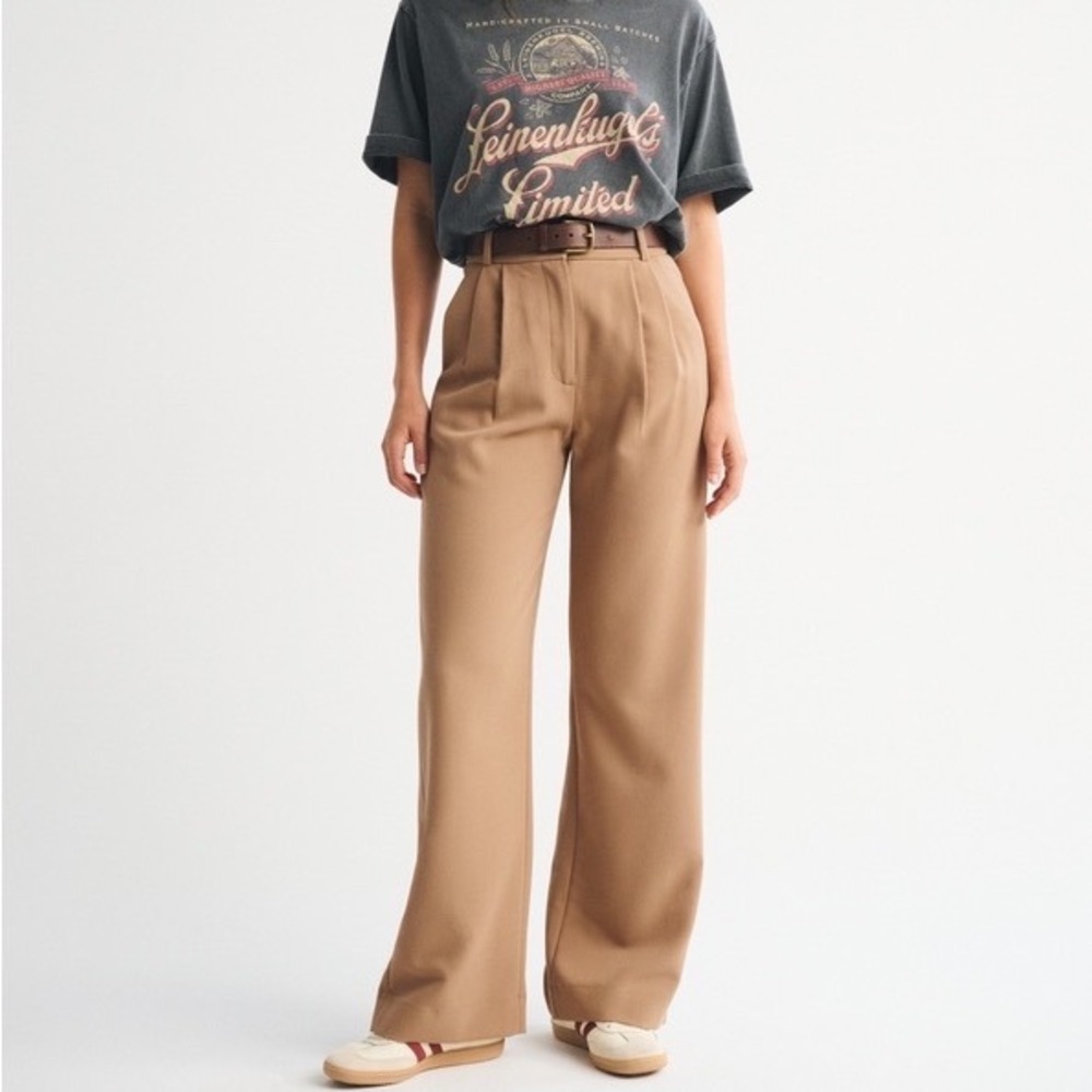 NWT Abercrombie Sloane Tailored Pants Tan Wide Leg Pleated Trousers - 25/0S